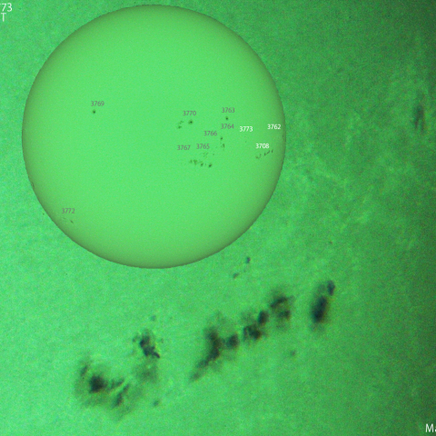 活動領域 3762,3768,3773：2024/07/31