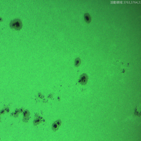 活動領域 3763,3764,3765,3766,3767,3768,3770：2024/08/01