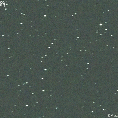 パンスターズ彗星（C/2023R1)：2024/07/28