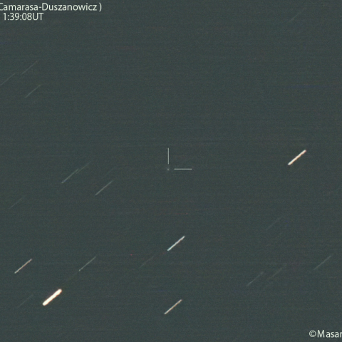カマラーサ-ドゥサノヴィッツ彗星( C/2023V4 ):2024/08/03