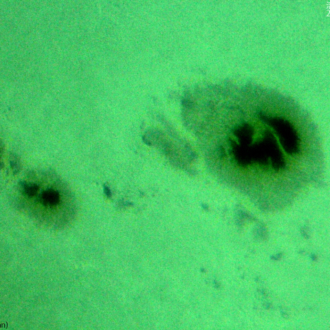 活動領域 3780：2024/08/07