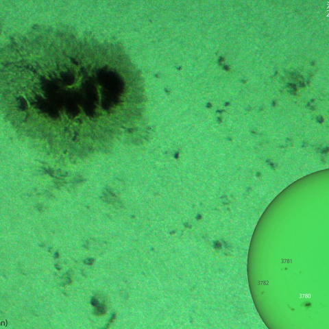 活動領域 3780：2024/08/08