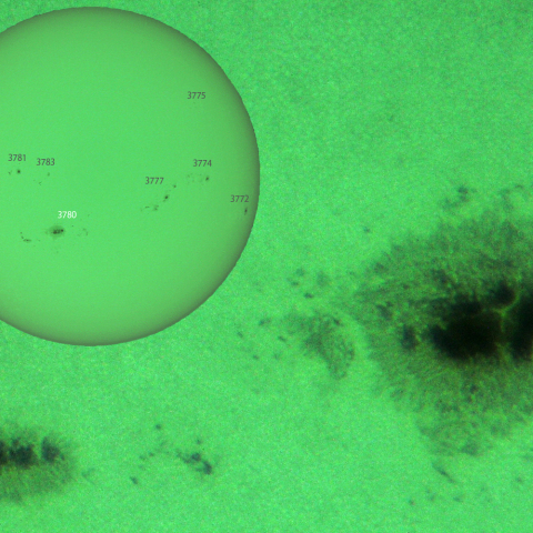 活動領域 3780：2024/08/09