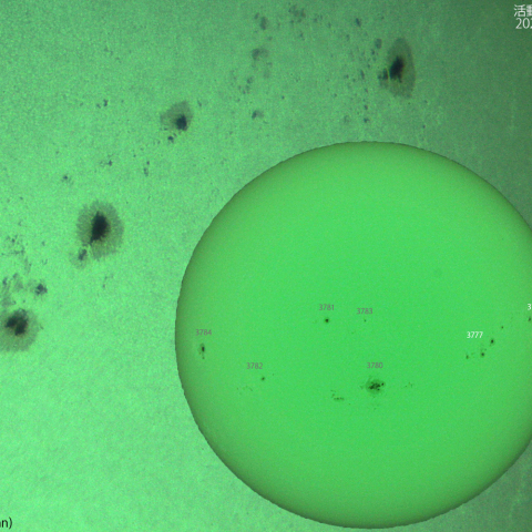 活動領域 3772,3774,3777：2024/08/10