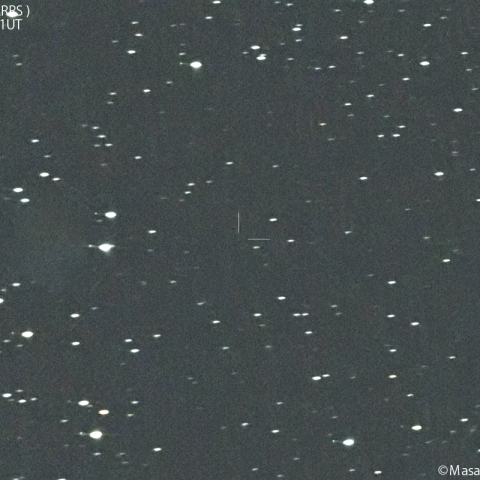 パンスターズ彗星（C/2023R1)：2024/08/4