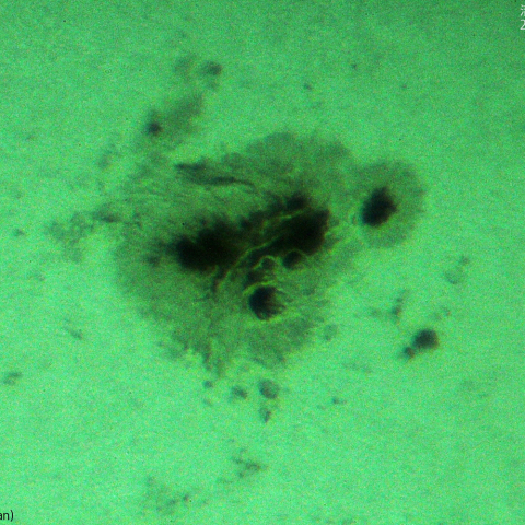 活動領域 3780：2024/08/11