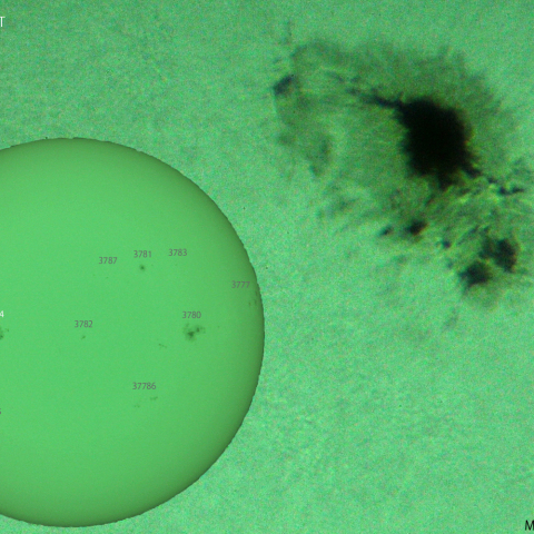 活動領域 3784：2024/08/13