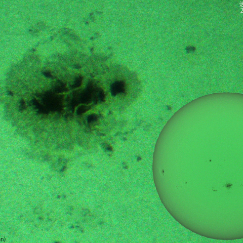 活動領域 3780：2024/08/10