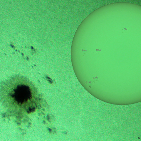 活動領域 3784：2024/08/18