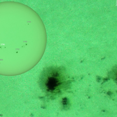 活動領域 3796：2024/08/22