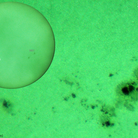 活動領域 3806：2024/09/01