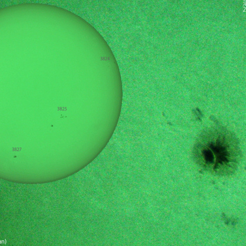 活動領域 3828：2024/09/19