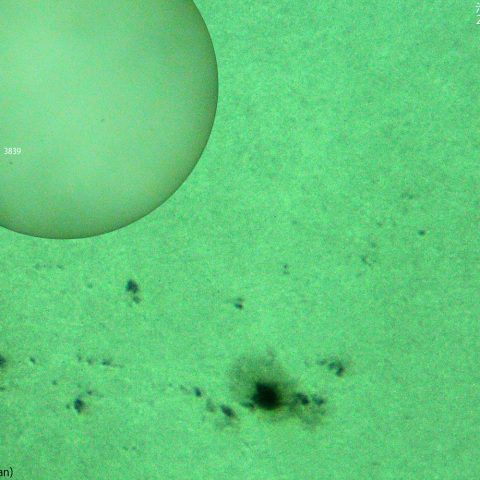 活動領域 3839,3842：2024/09/30