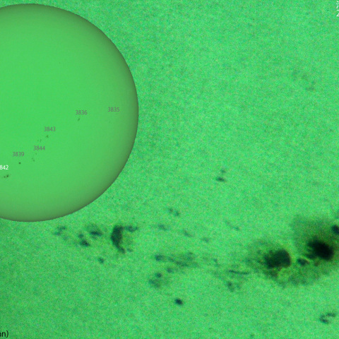 活動領域 3842：2024/10/01