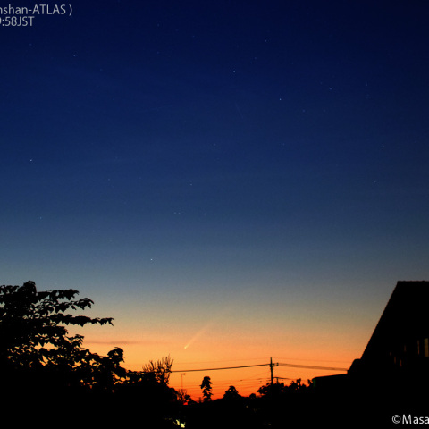 33mmで撮影した紫金山-アトラス彗星：2024/10/02