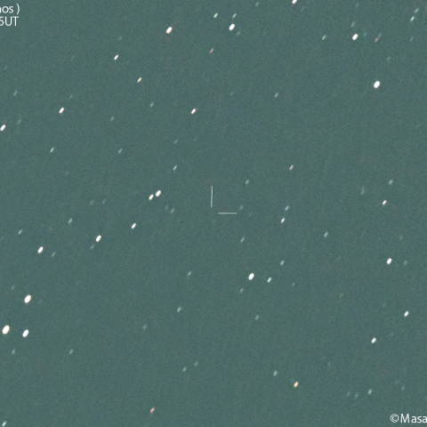 フィエチジョシュ彗星 (C/2024E1)の予報位置：2024/10/01