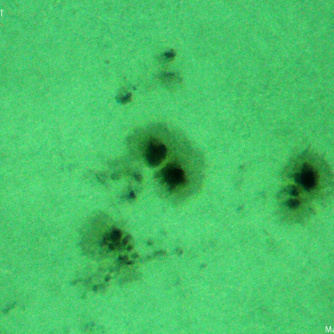 活動領域 3849,3850：2024/10/10