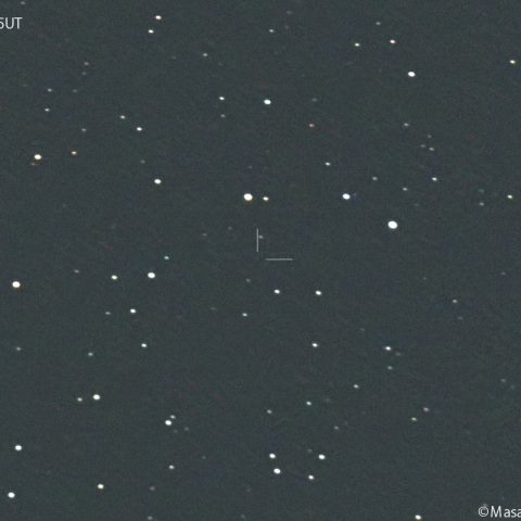 ミュラー彗星 ( 190P ):2024/10/01