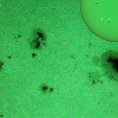 活動領域 3852,3854：2024/10/11