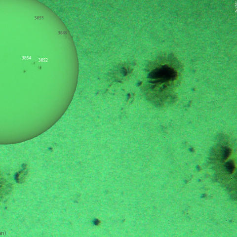 活動領域 3852,3854：2024/10/15