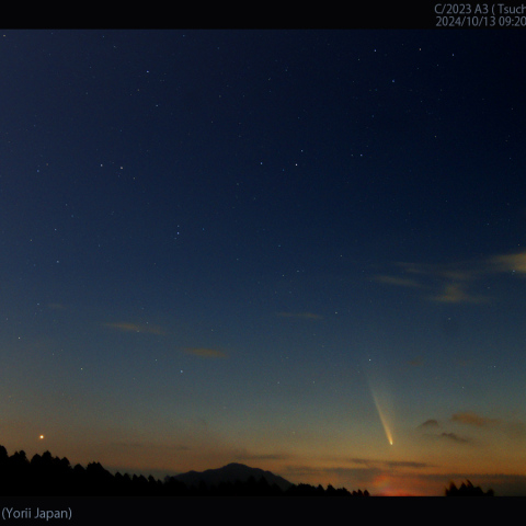 24mmで撮影した紫金山-アトラス彗星と金星：2024/10/13