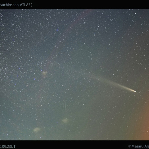 33mmで撮影した紫金山-アトラス彗星：2024/10/20