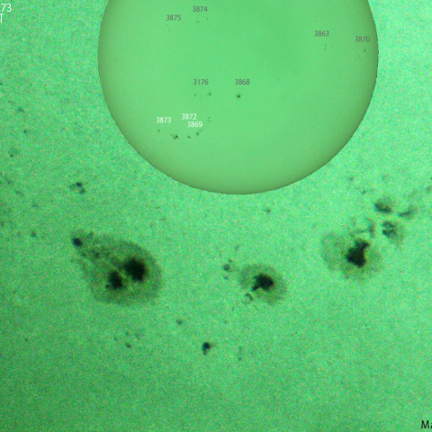 活動領域 3869,3872,3873：2024/10/24