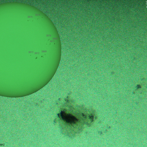 活動領域 3878：2024/11:01