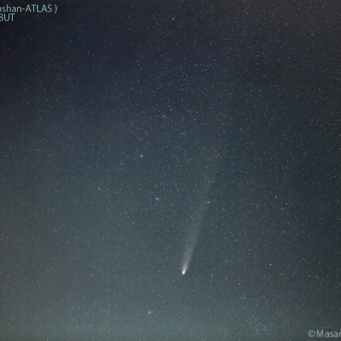 90mmで撮影した紫金山-アトラス彗星：2024/10/30