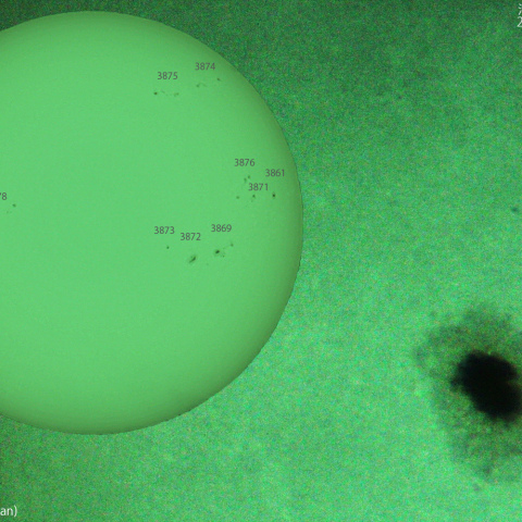 活動領域 3879：2024/11:01
