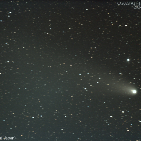 1000mmで撮影した紫金山-アトラス彗星：2024/11/03