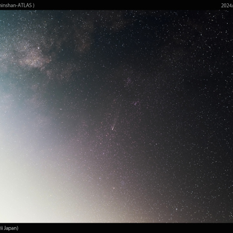 33mmで撮影した紫金山-アトラス彗星：2024/11/04