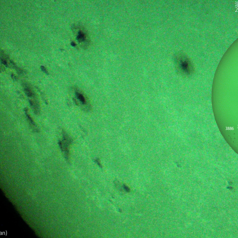 活動領域 3884,3886：2024/11:05