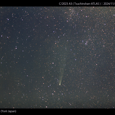 90mmで撮影した紫金山-アトラス彗星：2024/11/04