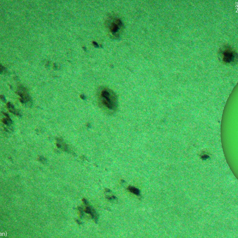 注目の活動領域 3884,3886：2024/11/06