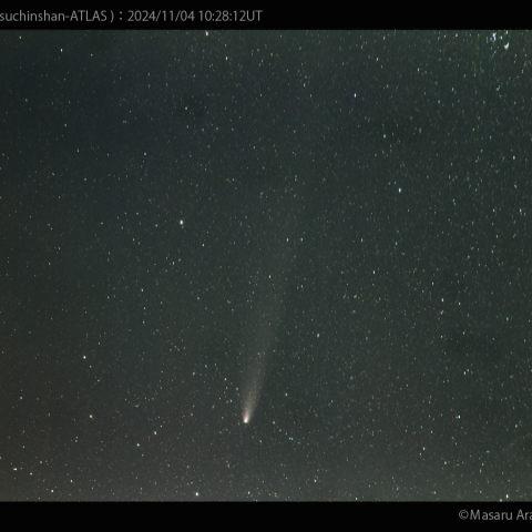 180mmで撮影した紫金山-アトラス彗星：2024/11/04