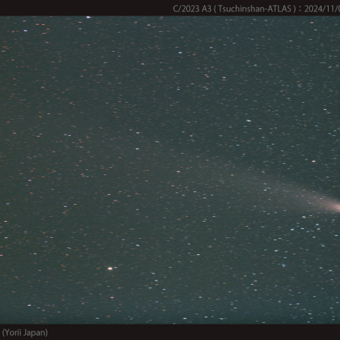 300mmで撮影した紫金山-アトラス彗星：2024/11/04