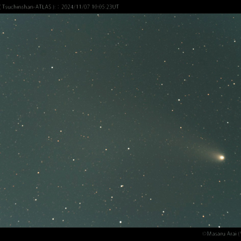 1000mmで撮影した紫金山-アトラス彗星：2024/11/07