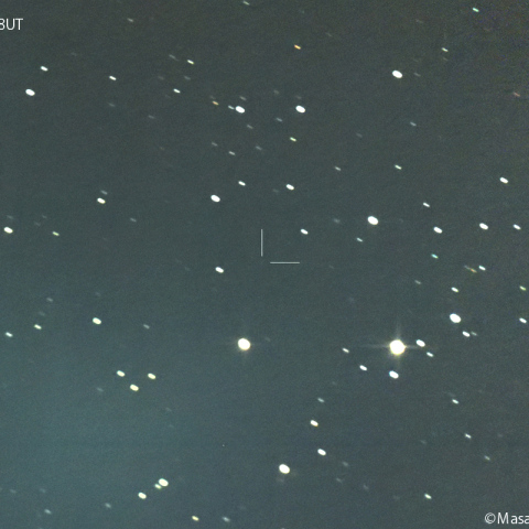 ミュラー彗星 ( 190P )2:2024/11/03