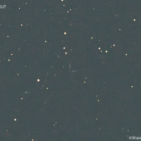 パンスターズ彗星 ( 253P )：2024/11/03