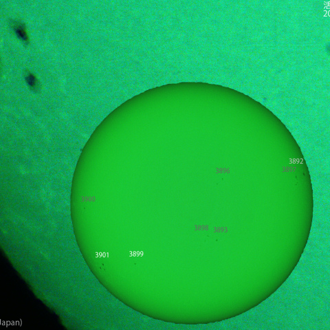 活動領域 3899,3901：2024/11/19