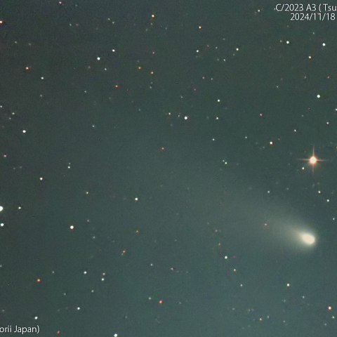 1000mmで撮影した紫金山-アトラス彗星：2024/11/18