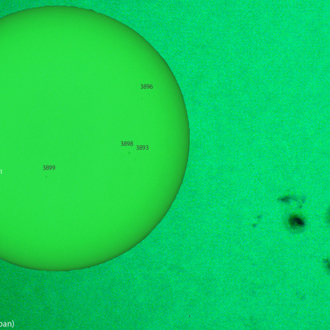 活動領域 3901：2024/11/21
