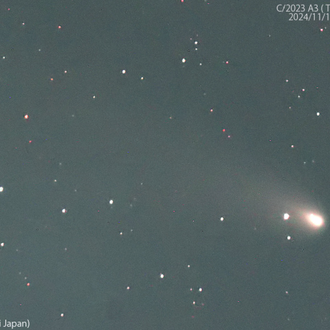 1000mmで撮影した紫金山-アトラス彗星：2024/11/19