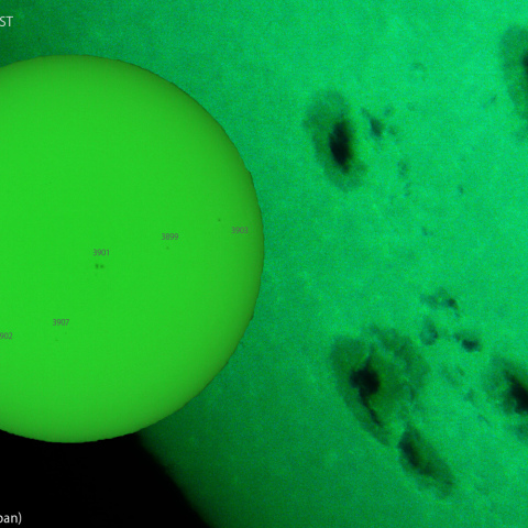 活動領域 3905,3906：2024/11/24