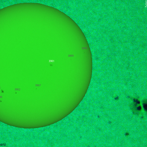 活動領域 3901：2024/11/25