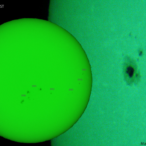 活動領域 3910：2024/11/28