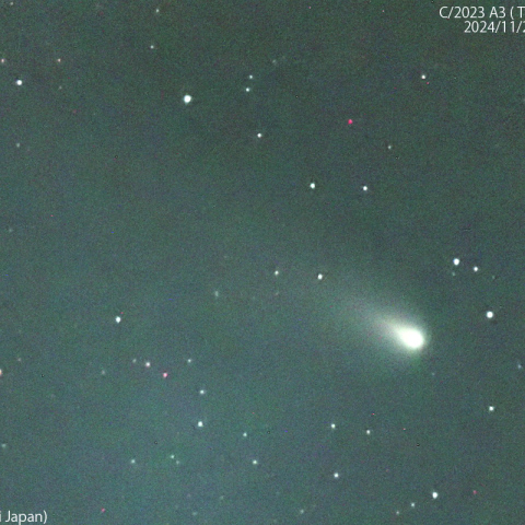 1000mmで撮影した紫金山-アトラス彗星：2024/11/27