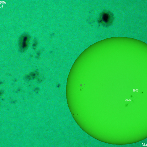 活動領域 3902,3905,3906：2024/11/29