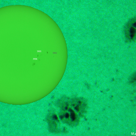 活動領域 3905,3906：2024/11/30